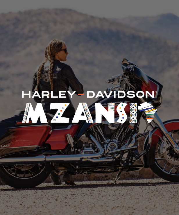 Website SlidesMzansi